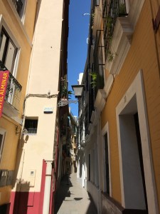 IMG_3423